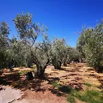 Beautiful House Holiday home Orfanion