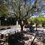 Beautiful House * Orfanion