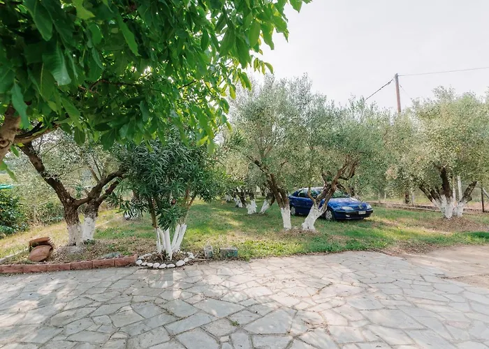 Beautiful House * Orfanion